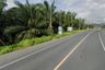 Land for sale in Bo Saen, Phang Nga