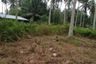 Land for sale in Pa Khlok, Phuket