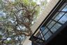 2 Bedroom Office for rent in Lat Phrao, Bangkok