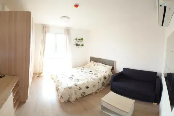 1 Bedroom Condo for Sale or Rent in Elio Del Ray, Bang Chak, Bangkok near BTS Punnawithi