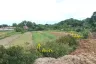 Land for sale in Nong Prue, Chonburi