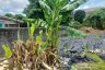 Land for sale in Thanon Nakhon Chai Si, Bangkok