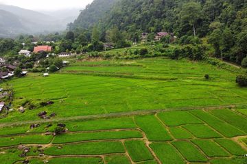 Land for sale in Kuet Chang, Chiang Mai