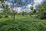 Land for sale in Lipa Noi, Surat Thani