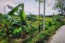 Land for sale in Lipa Noi, Surat Thani