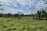 Land for sale in Lipa Noi, Surat Thani
