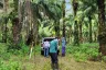 Land for sale in Ao Luek Nuea, Krabi