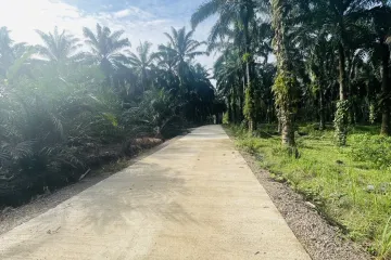 Land for sale in Khlong Hin, Krabi