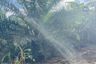 Land for sale in Khlong Hin, Krabi