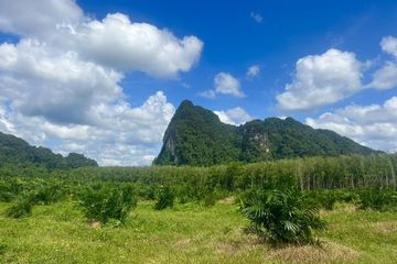 Land for sale in Khao Yai, Krabi