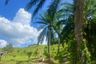 Land for sale in Khao Yai, Krabi