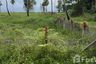 Land for sale in Taling Chan, Krabi