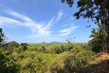 Land for sale in Pa Khlok, Phuket