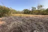 Land for sale in Huai Sai, Chiang Mai