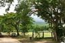 6 Bedroom House for sale in Suthep, Chiang Mai