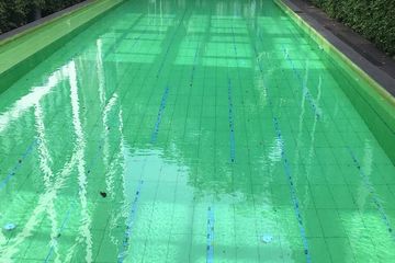 2 Bedroom Condo for rent in Qube Sukhumvit soi 46, Phra Khanong, Bangkok near BTS Phra Khanong