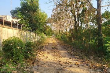 Land for sale in Pa Sak, Lamphun