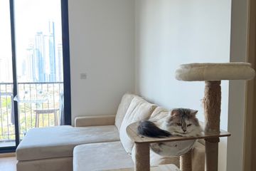 Condo for sale in MARU Ekkamai 2, Khlong Tan Nuea, Bangkok near BTS Ekkamai