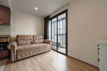 1 Bedroom Condo for rent in Taka Haus Ekamai 12, Khlong Tan Nuea, Bangkok near BTS Ekkamai