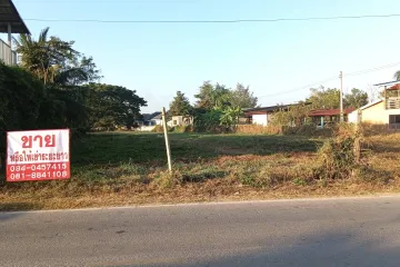 Land for sale in Pa Sak, Lamphun