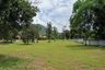 Land for sale in Makhuea Chae, Lamphun