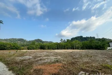 Land for sale in Thep Krasatti, Phuket