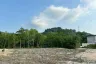 Land for sale in Thep Krasatti, Phuket