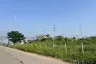 Land for sale in Khlong Song Ton Nun, Bangkok