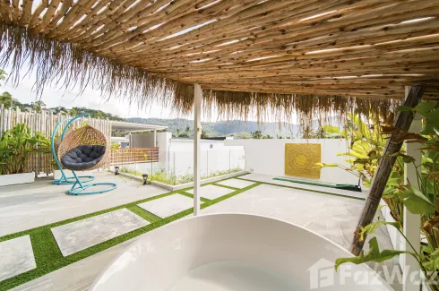 Ko Samui, Surat Thani