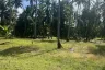 Land for sale in Ko Pha-ngan, Surat Thani