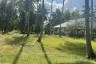 Land for sale in Ko Pha-ngan, Surat Thani