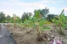 Land for sale in Saraphi, Chiang Mai