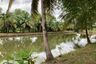 Land for sale in Huai Yap, Lamphun