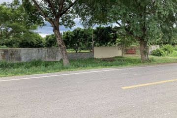 Land for sale in Huai Yap, Lamphun