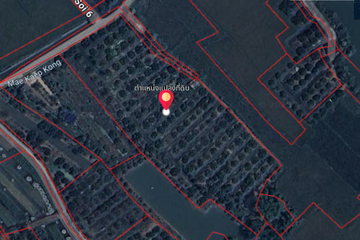 Land for sale in Rim Ping, Lamphun