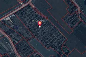 Land for sale in Rim Ping, Lamphun