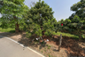 Land for sale in Rim Ping, Lamphun