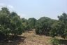 Land for sale in Mueang Chi, Lamphun