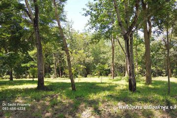 Land for sale in Si Bua Ban, Lamphun