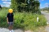 Land for sale in Huai Yap, Lamphun