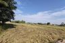 Land for sale in Pa Sak, Lamphun