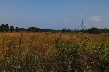 Land for sale in Ban Thi, Lamphun