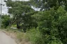 Land for sale in Ton Thong, Lamphun