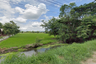 Land for sale in Ton Thong, Lamphun
