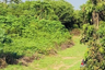 Land for sale in Mueang Nga, Lamphun