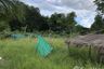 Land for sale in Mueang Chi, Lamphun