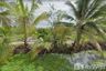 Land for sale in Mueang Nga, Lamphun