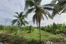 Land for sale in Mueang Nga, Lamphun