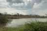 Land for sale in Ban Thi, Lamphun