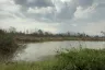 Land for sale in Ban Thi, Lamphun